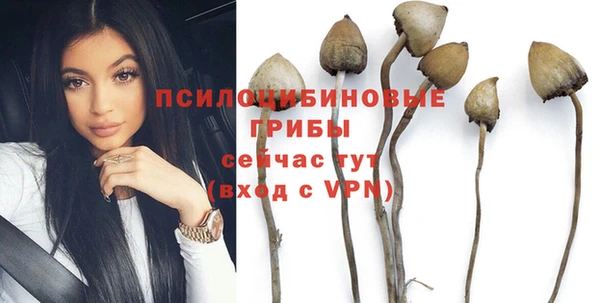 хмурый Белоозёрский
