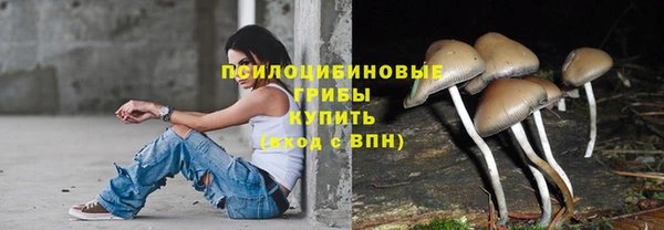 хмурый Белоозёрский