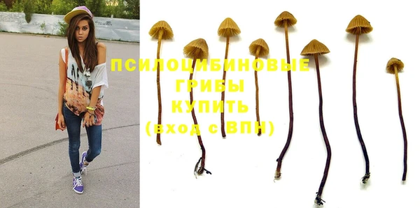 хмурый Белоозёрский