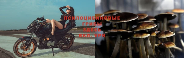 хмурый Белоозёрский