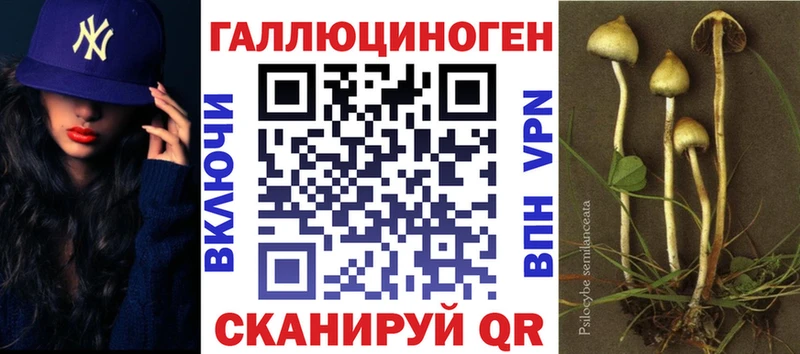 Галлюциногенные грибы прущие грибы  Купить где  Короча 