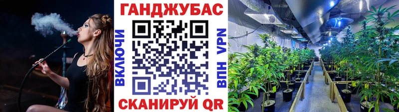 Бошки Шишки индика  Купить закладки  Короча 